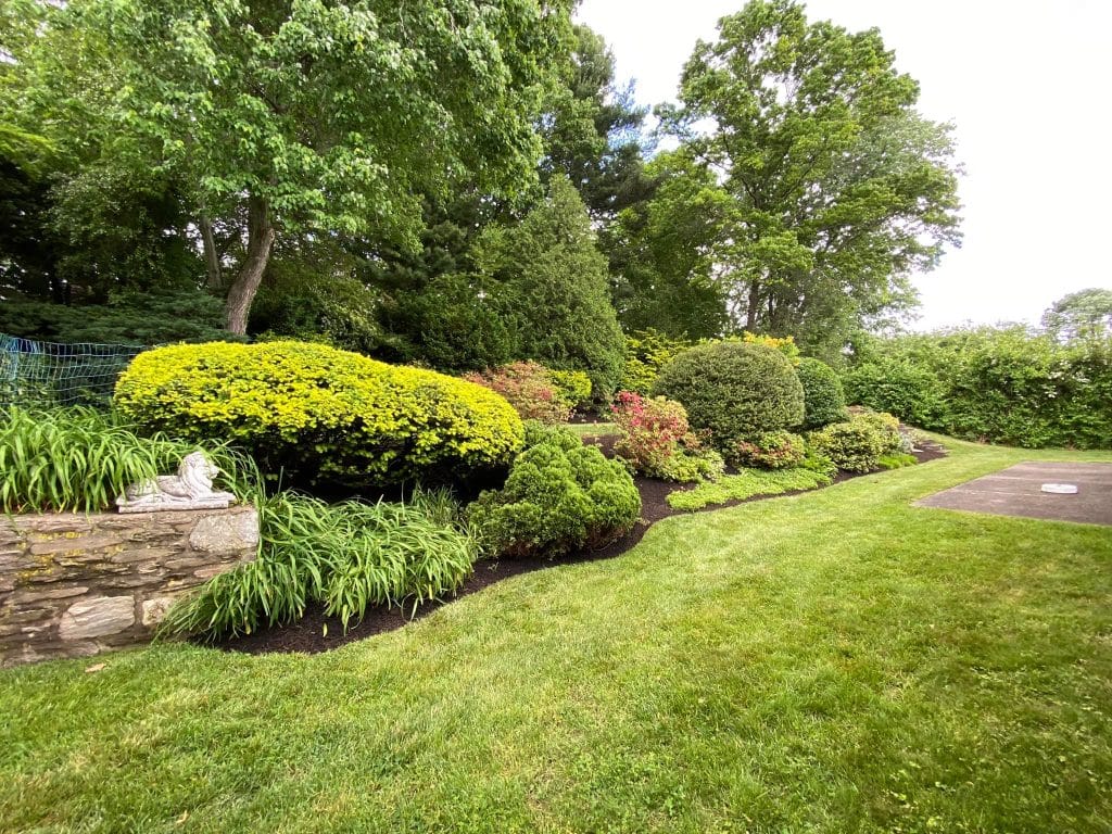 A beautiful garden landscape design