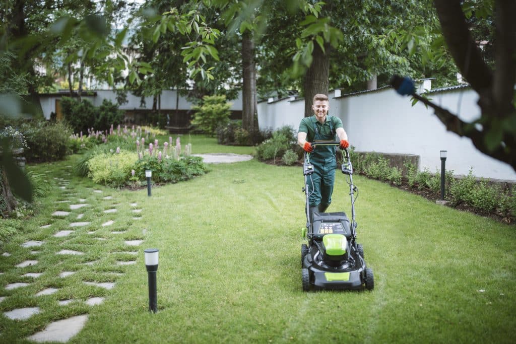 Gardener Mows The Lawn With An Mower.
